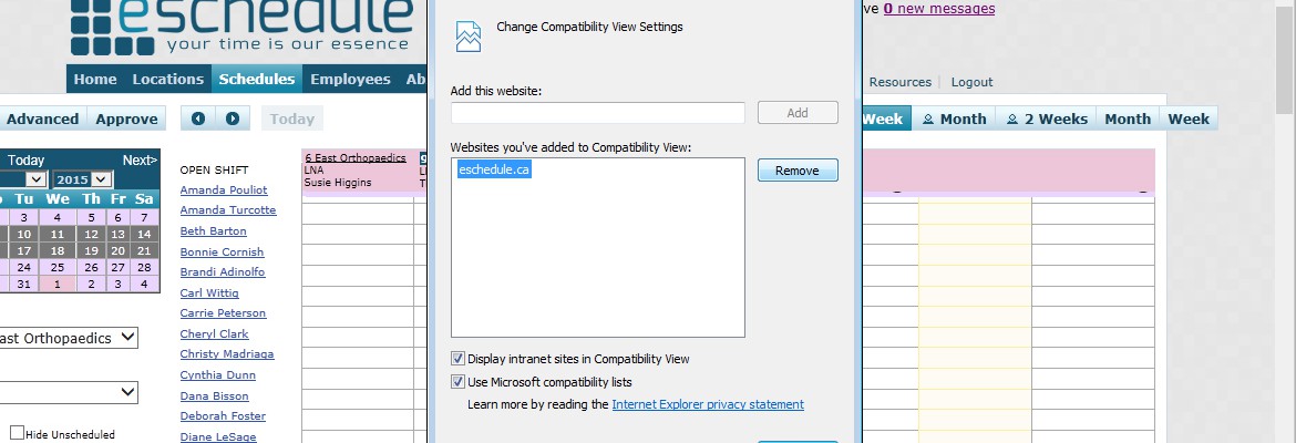 Why is the NEW View Schedule Not Loading? (Internet Explorer)